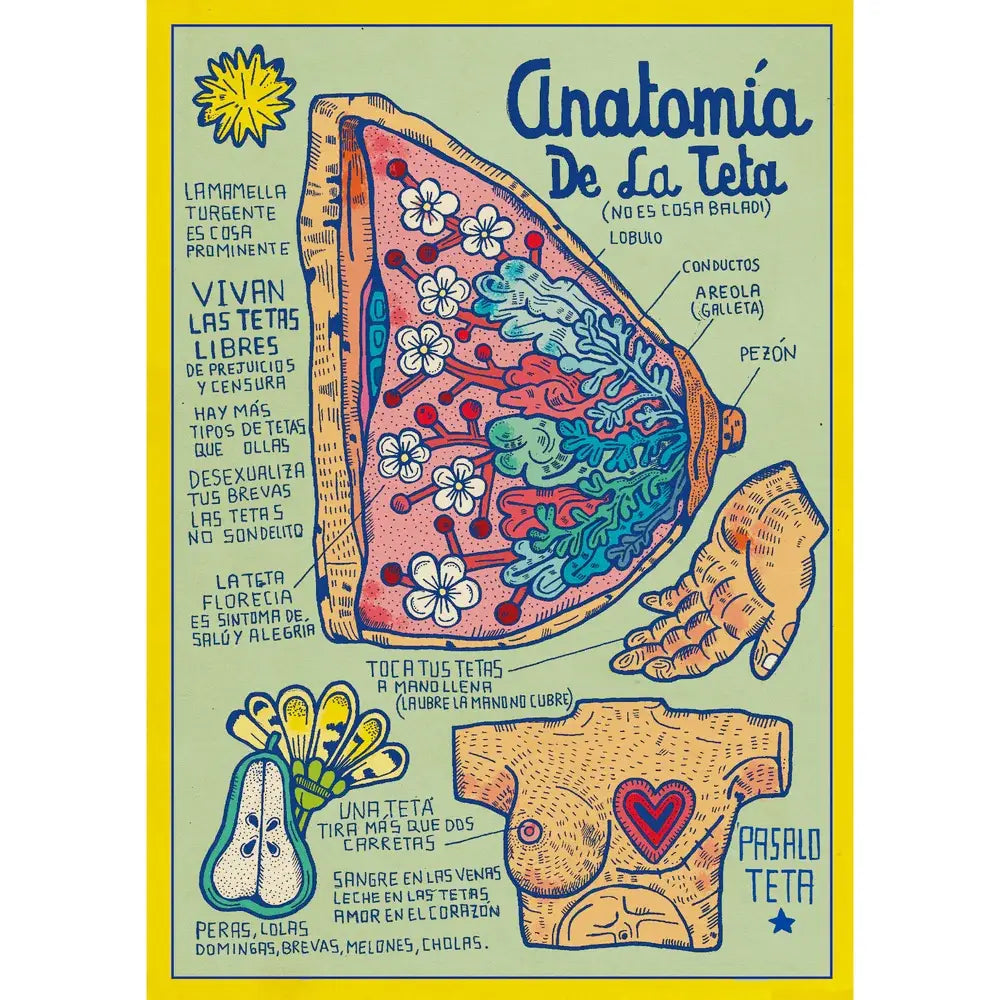 Print Anatomia de una teta