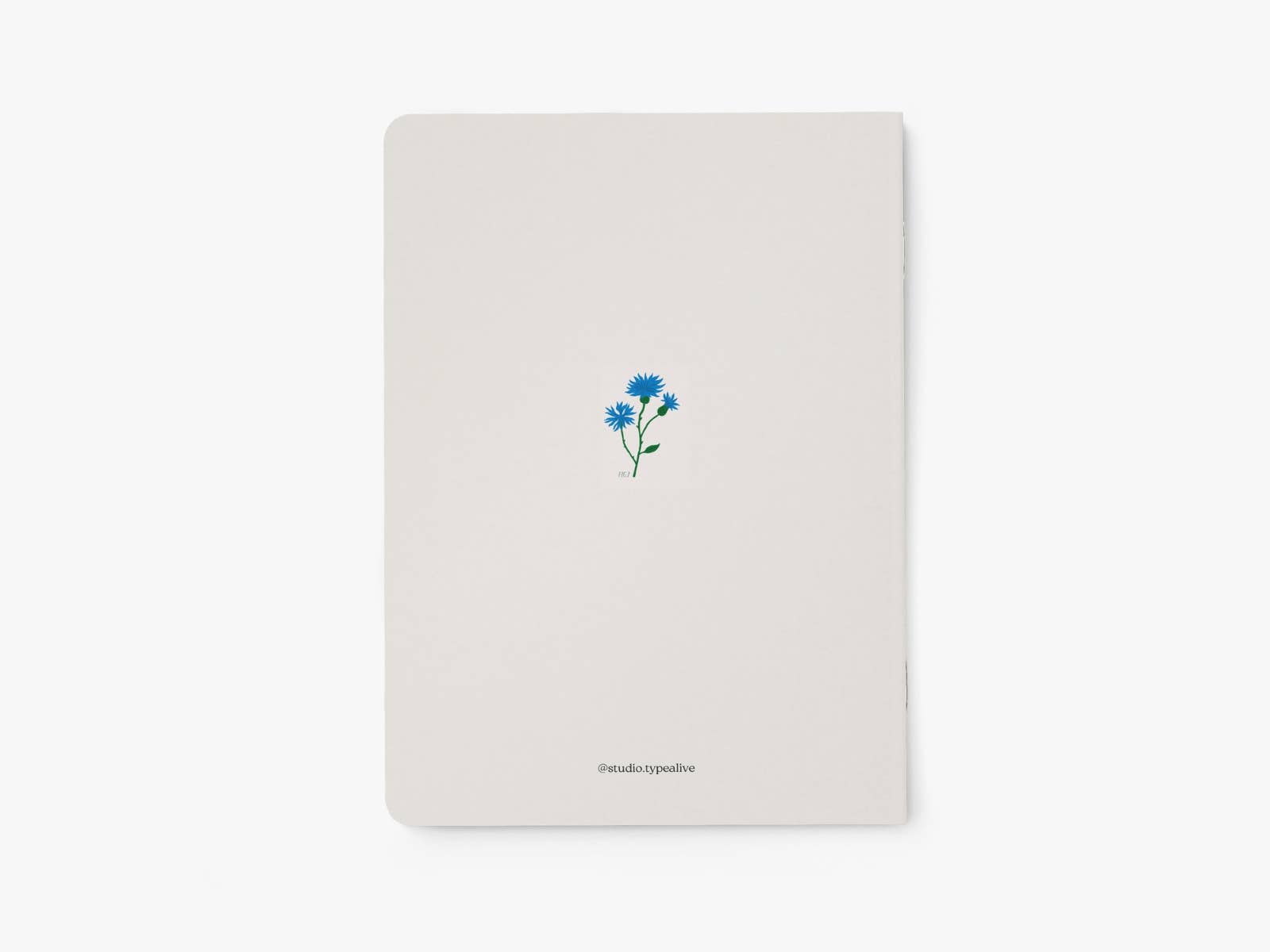 Cuaderno  Annoy