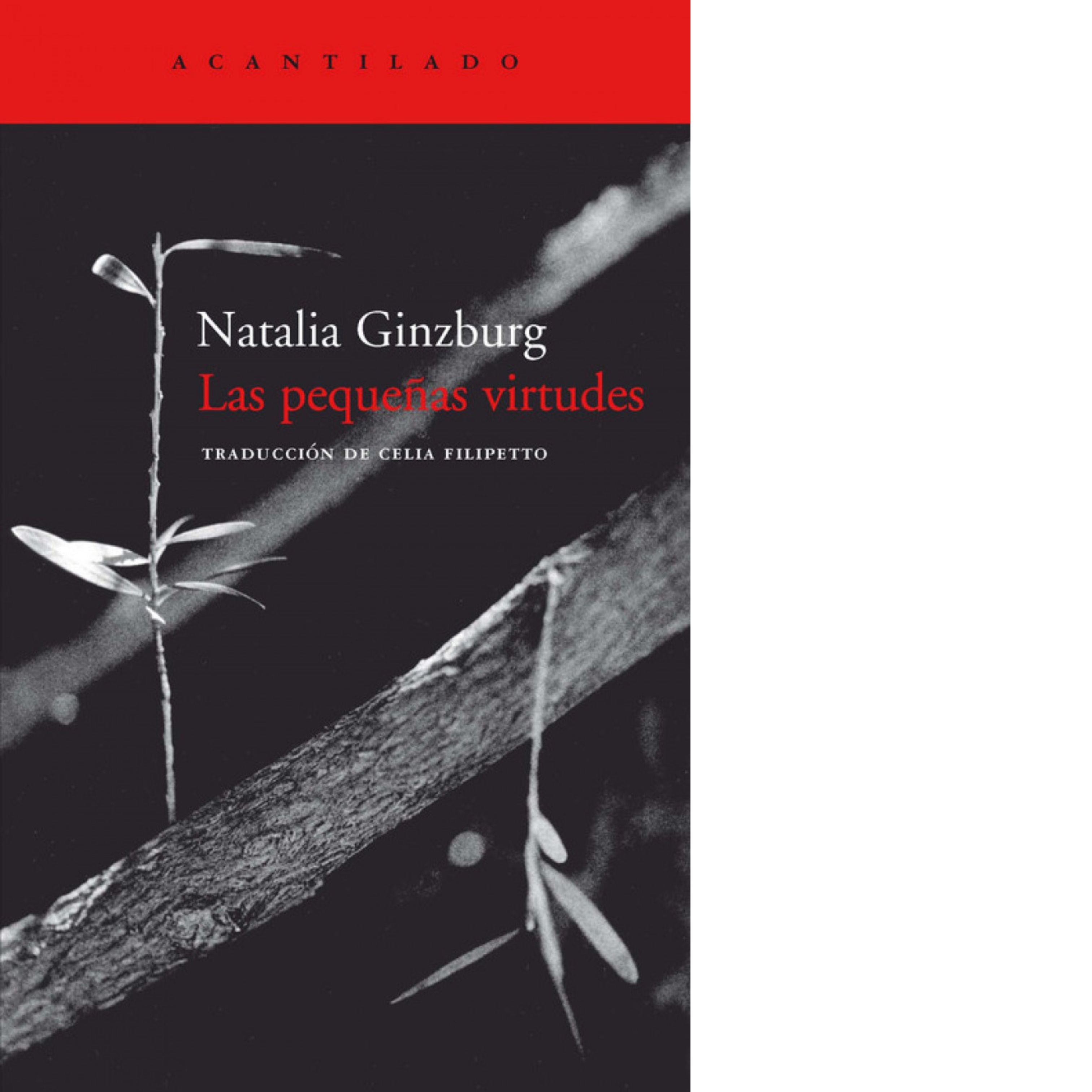 Las pequeñas virtudes | Natalia Ginzburg
