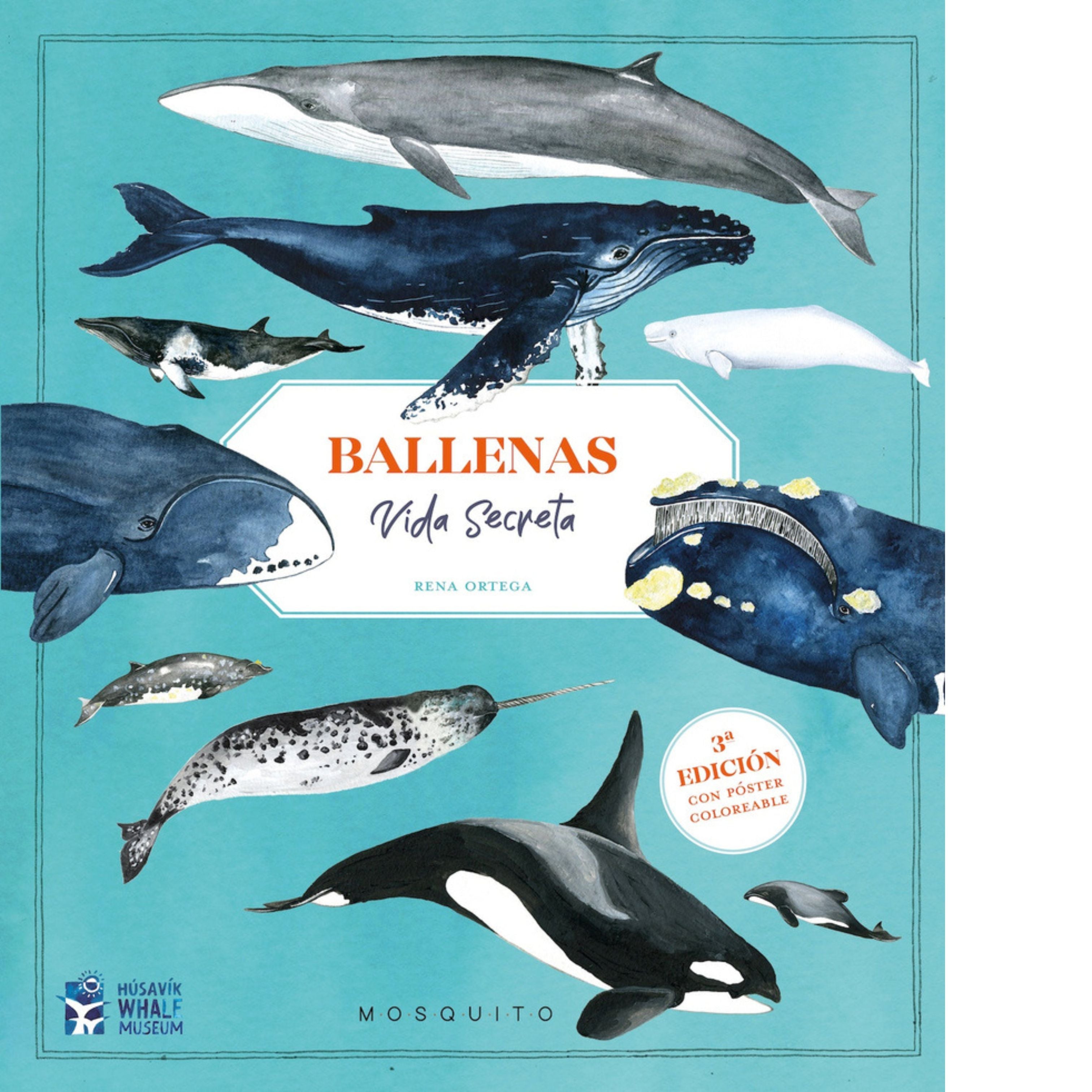 Ballenas