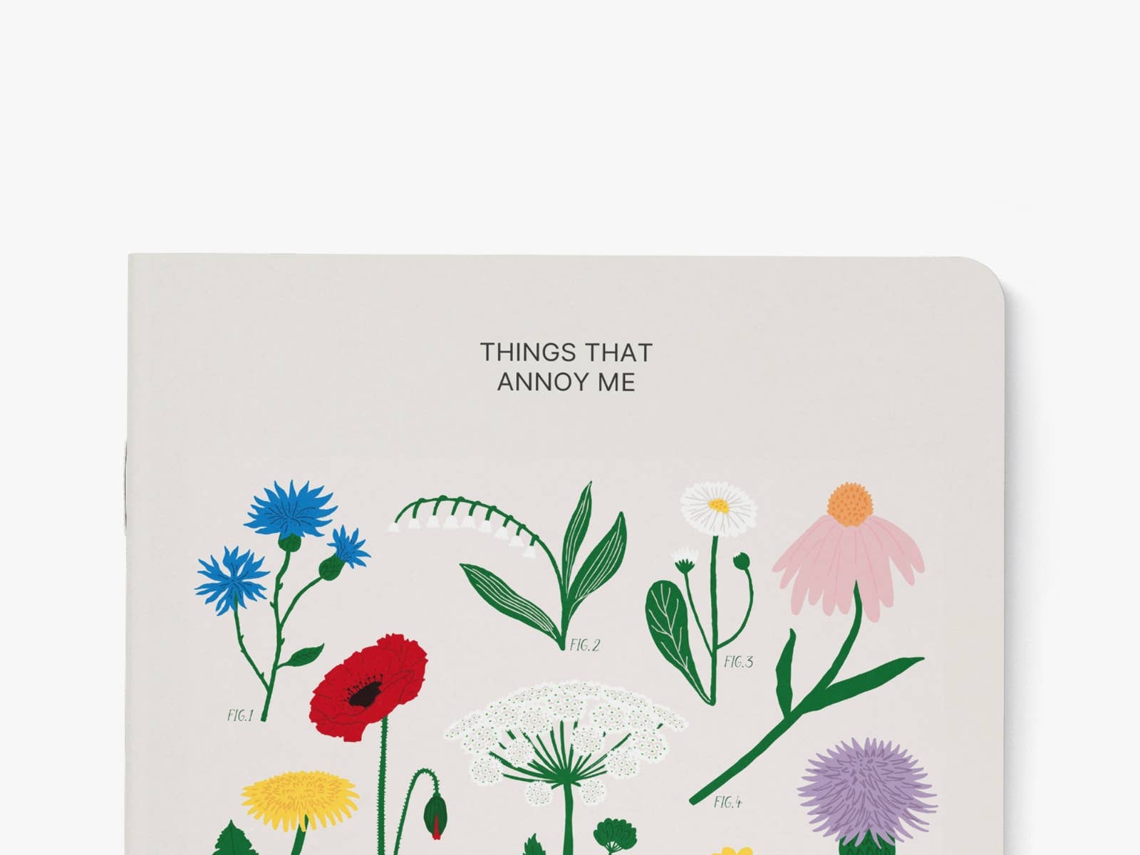 Cuaderno  Annoy
