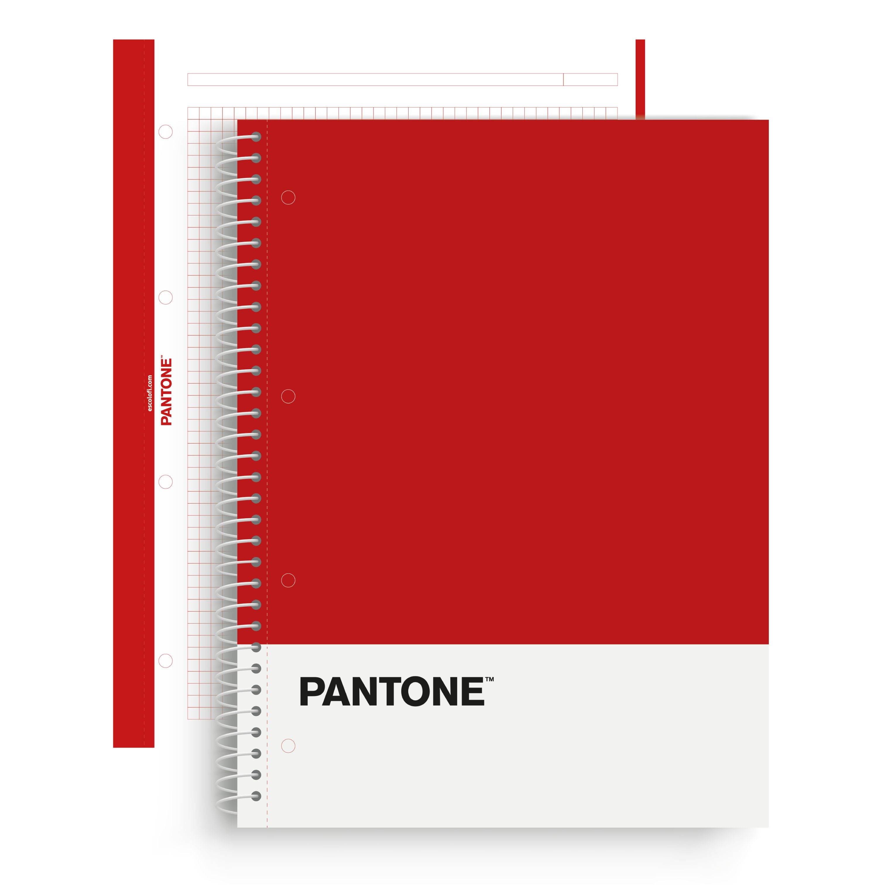 Notebook A4 Pantone Basic